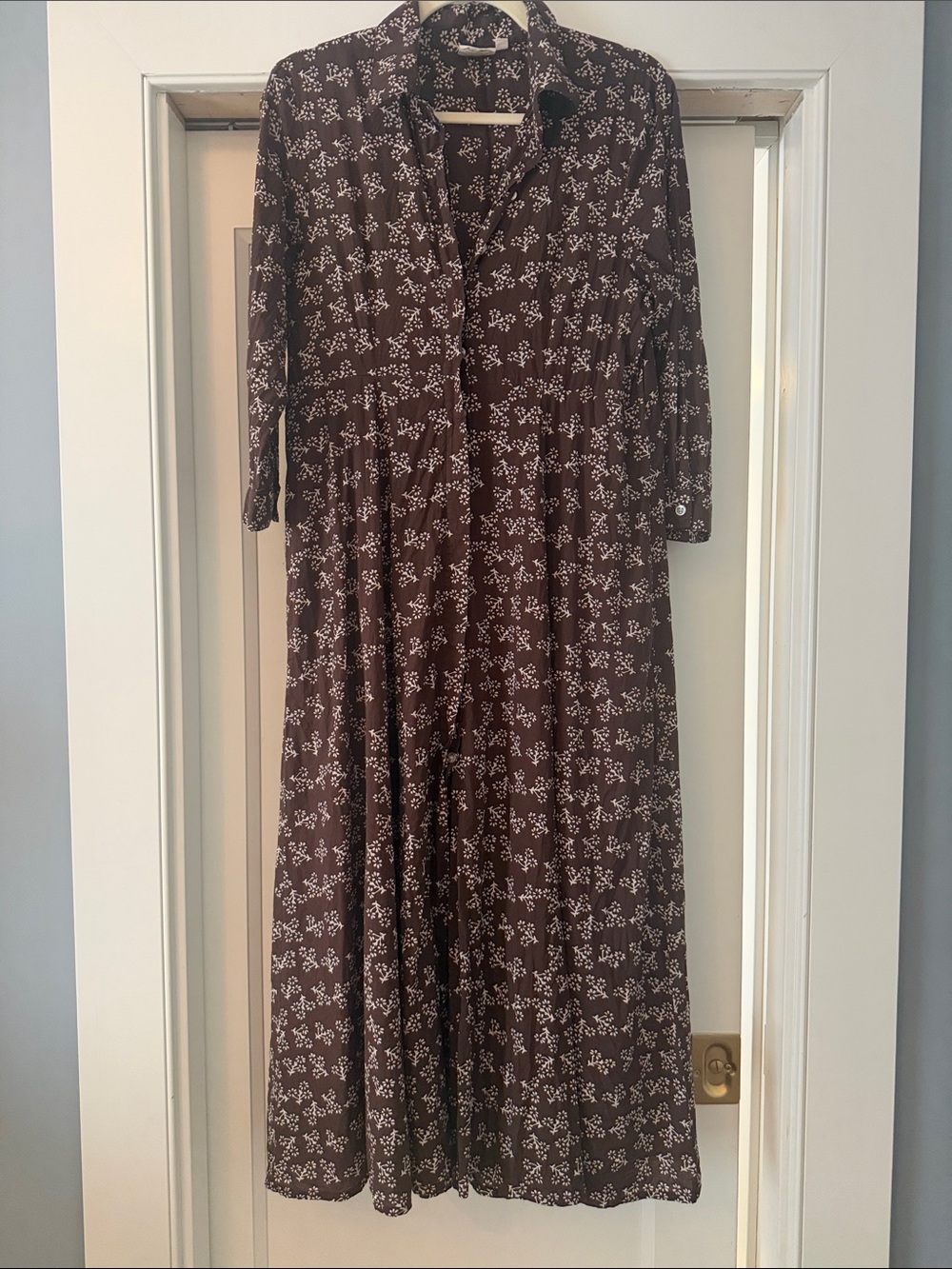Julia Amory Brown Floral Maxi Dress with Button Front